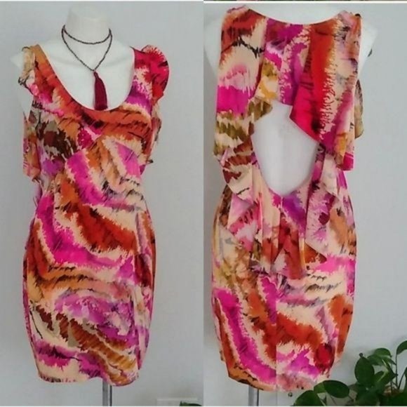 Ali Ro Dresses & Skirts - Ali Ro Fitted Dress Ruffled Multi Colored